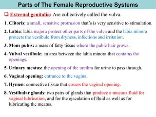 Parts of The Female Reproductive Systems
❑ External genitalia: Are collectively called the vulva.
1. Clitoris: a small, sensitive protrusion that’s is very sensitive to stimulation.
2. Labia: labia majora protect other parts of the vulva and the labia minora
protects the vestibule from dryness, infections and irritation.
3. Mons pubis: a mass of fatty tissue where the pubic hair grows.
4. Vulval vestibule: an area between the labia minora that contains the
openings.
5. Urinary meatus: the opening of the urethra for urine to pass through.
6. Vaginal opening: entrance to the vagina.
7. Hymen: connective tissue that covers the vaginal opening.
8. Vestibular glands: two pairs of glands that produce a mucous fluid for
vaginal lubrication, and for the ejaculation of fluid as well as for
lubricating the meatus.
 