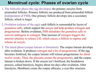 1. The follicular phase (the egg develops): the primary oocytes form
primordial follicles. Primary follicles are produced from primordial follicle
(independent of FSH). One primary follicle develops into a secondary
follicle, which is larger.
2. Ovulation (release of the egg): each follicle is surrounded by layers of
granulosa cells, which support the oocyte and help produce estrogen and
progesterone. Before ovulation, FSH stimulates the granulosa cells to
convert androgens to estrogen. That increase of estrogen triggers the
anterior pituitary to release LH, which causes a follicle to rupture and
release an oocyte.
3. The luteal phase (corpus luteum is formation): The corpus luteum develops
after ovulation. It produces estrogen and a lot of progesterone. If the egg
becomes fertilized, the corpus luteum will release progesterone for about
twelve weeks. Then, the placenta creates the progesterone, and the corpus
luteum is broken down. If the oocyte isn’t fertilized, the breakdown
process, called luteolysis, begins about ten days after ovulation. After
luteolysis, fibroblasts create the corpus albicans, a scar-like structure.
Menstrual cycle: Phases of ovarian cycle
 