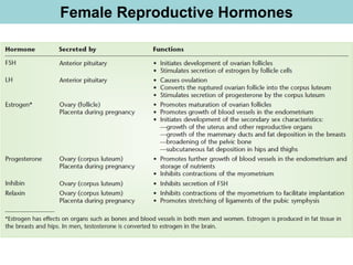 Female Reproductive Hormones
 