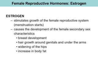 Female Reproductive Hormones: Estrogen
 