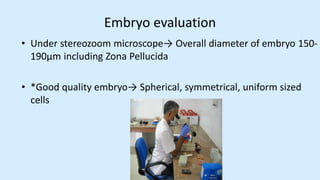 Lecture 20 superovulation and embryo transfer in cattle | PDF