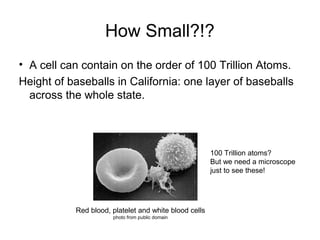 How Small?!?
• A cell can contain on the order of 100 Trillion Atoms.
Height of baseballs in California: one layer of baseballs
across the whole state.
Red blood, platelet and white blood cells
photo from public domain
100 Trillion atoms?
But we need a microscope
just to see these!
 