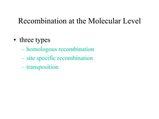Recombination at the Molecular Level
• three types
– homologous recombination
– site specific recombination
– transposition

 