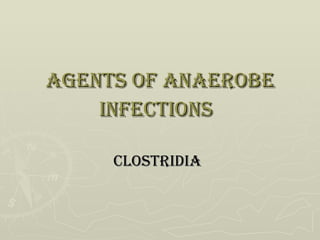 Agents of anaerobe infections   Clostridia   
