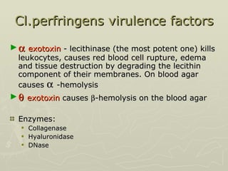 Cl.perfringens virulence factors    exotoxin  - lecithinase (the most potent one) kills leukocytes, causes red blood cell rupture, edema and tissue destruction by degrading the lecithin component of their membranes. On blood agar causes     -hemolysis    exotoxin  causes   -hemolysis on the blood agar Enzymes:  Collagenase Hyaluronidase  DNase 