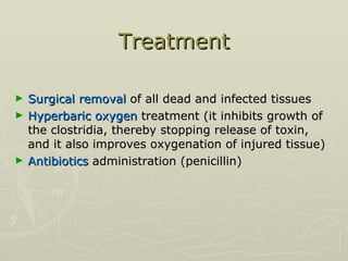 Treatment  Surgical removal  of all dead and infected tissues Hyperbaric oxygen  treatment (it inhibits growth of the clostridia, thereby stopping release of toxin, and it also improves oxygenation of injured tissue) Antibiotics  administration (penicillin) 