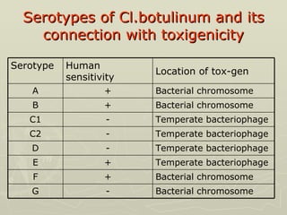 Serotypes of   Cl.botulinum and its connection with toxigenicity Bacterial chromosome - G Bacterial chromosome + F Temperate bacteriophage + E Temperate bacteriophage - D Temperate bacteriophage - С2 Temperate bacteriophage  - С1 Bacterial chromosome + В Bacterial chromosome  + А Location of tox-gen Human sensitivity  Serotype 