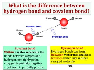 Covalent bond
Within a water molecule the
bonds between oxygen and
hydrogen are highly polar.
- oxygen is partially negative
- hydrogen is partially positive

Hydrogen bond
Hydrogen bonds can form
between water molecules or
between water and another
charged molecule.
10

 