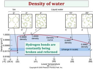 The formation of ice in
freshwater:

 