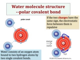 If the two charges have the
same sign, the electrostatic
force between them is
repulsive

Water consists of an oxygen atom
bound to two hydrogen atoms by
two single covalent bonds.

 