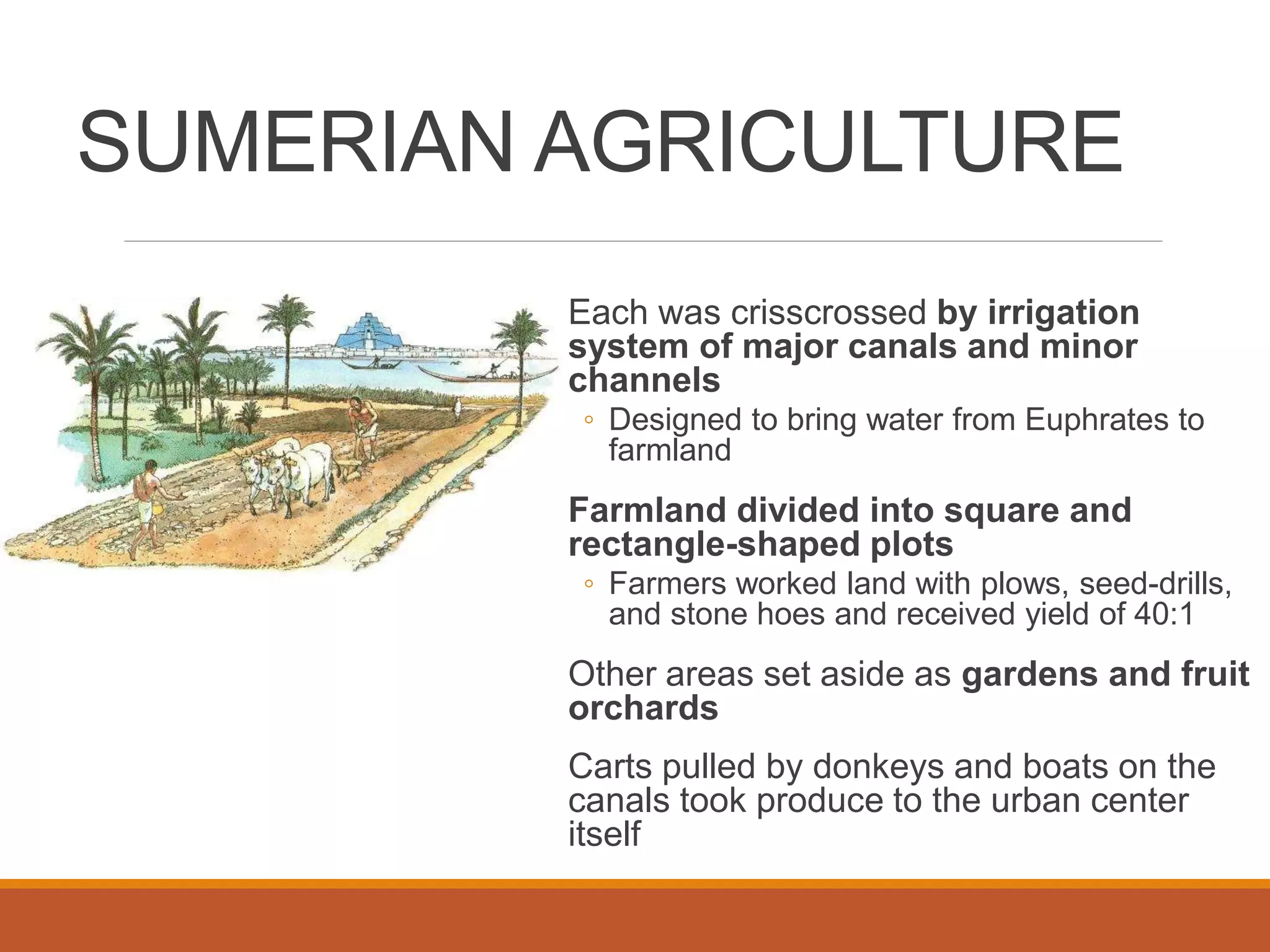 SUMERIAN AGRICULTURE
Each was crisscrossed by irrigation
system of major canals and minor
channels
◦ Designed to bring water from Euphrates to
farmland
Farmland divided into square and
rectangle-shaped plots
◦ Farmers worked land with plows, seed-drills,
and stone hoes and received yield of 40:1
Other areas set aside as gardens and fruit
orchards
Carts pulled by donkeys and boats on the
canals took produce to the urban center
itself
 