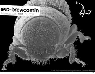 ©Jack Scott, Department of Biological Sciences, University of Alberta
O
O
Et
exo-brevicominTetrahedron Lett., 1993, 34, 5031
29
 