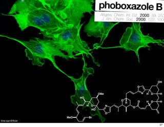 phoboxazole B
Angew. Chem. Int. Ed., 2000, 39, 253
J. Am. Chem. Soc., 2000, 122, 1003
O
BrMeO
HO
H
HO
OMe
O
N
O
N
O
O
O
O
H O H H
H
OH
H
©rei-san@ﬂickr
37
 