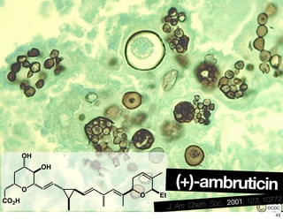 ©CDC
O
CO2H
OH
OH
O Et
(+)-ambruticin
J. Am. Chem. Soc., 2001, 123, 10772
43
 
