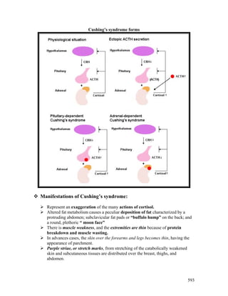 Lecture 21 adrenal glands diseases - pathology | PDF