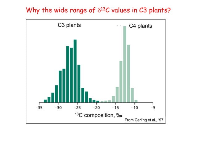 C4 and C3 photosynthetic pathway in plants | PPT