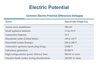 Electric Potential 