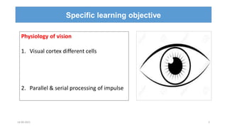 Subprocess Vision Lecture 6/2022 Special senses -Vision 6 - Physiology of vision -Visual ...