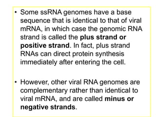 Fact Strand Lecture #2 (2).ppt