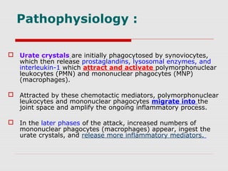 Pathophysiology :
 Urate crystals are initially phagocytosed by synoviocytes,
which then release prostaglandins, lysosomal enzymes, and
interleukin-1 which attract and activate polymorphonuclear
leukocytes (PMN) and mononuclear phagocytes (MNP)
(macrophages).
 Attracted by these chemotactic mediators, polymorphonuclear
leukocytes and mononuclear phagocytes migrate into the
joint space and amplify the ongoing inflammatory process.
 In the later phases of the attack, increased numbers of
mononuclear phagocytes (macrophages) appear, ingest the
urate crystals, and release more inflammatory mediators.
 