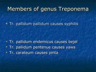 Members of genus Treponema Tr. pallidum pallidum causes syphilis Tr. pallidum endemicus causes bejel Tr. pallidum pentenue causes yaws Tr. carateum causes pinta 