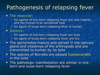 Pathogenesis of relapsing fever The reservoir : for agents of tick-born relapsing fever are wild rodents, and the human is an accidental host for agent of louse-born relapsing fever is human Vectors : for agents of tick-born relapsing fever are ticks for agent of louse-born relapsing fever are lice The spirochetes mature and persist in the salivary gland and intestines of the arthropods and are transmitted to human by its byte The species of Borrelia are passed  transovarially  in the ticks The pathologic manifestation are similar in tick-born and louse-born relapsing fever 