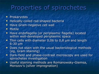 Properties of spirochetes   Prokaryotes  Helically-coiled rod-shaped bacteria Have Gram-negative cell wall Motile Have endoflagella (or periplasmic flagella) located within well-developed periplasmic space Thin cells with diameter 0,06 to 0,8   m and length 6-30   m Does not stain with the usual bacteriological methods (eg, Gram staining) Dark-field and phase-contrast microscopy are used for spirochetes investigation  Useful staining methods are Romanowsky-Giemsa, Morozov’s  ( silver impregnation) 