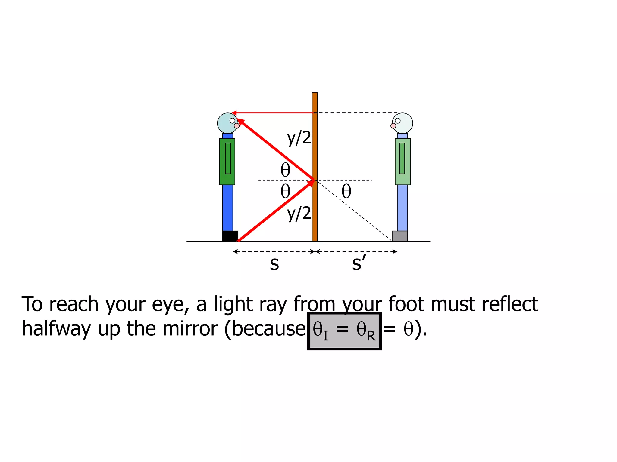 s s’
y/2


y/2

To reach your eye, a light ray from your foot must reflect
halfway up the mirror (because I = R = ).
 