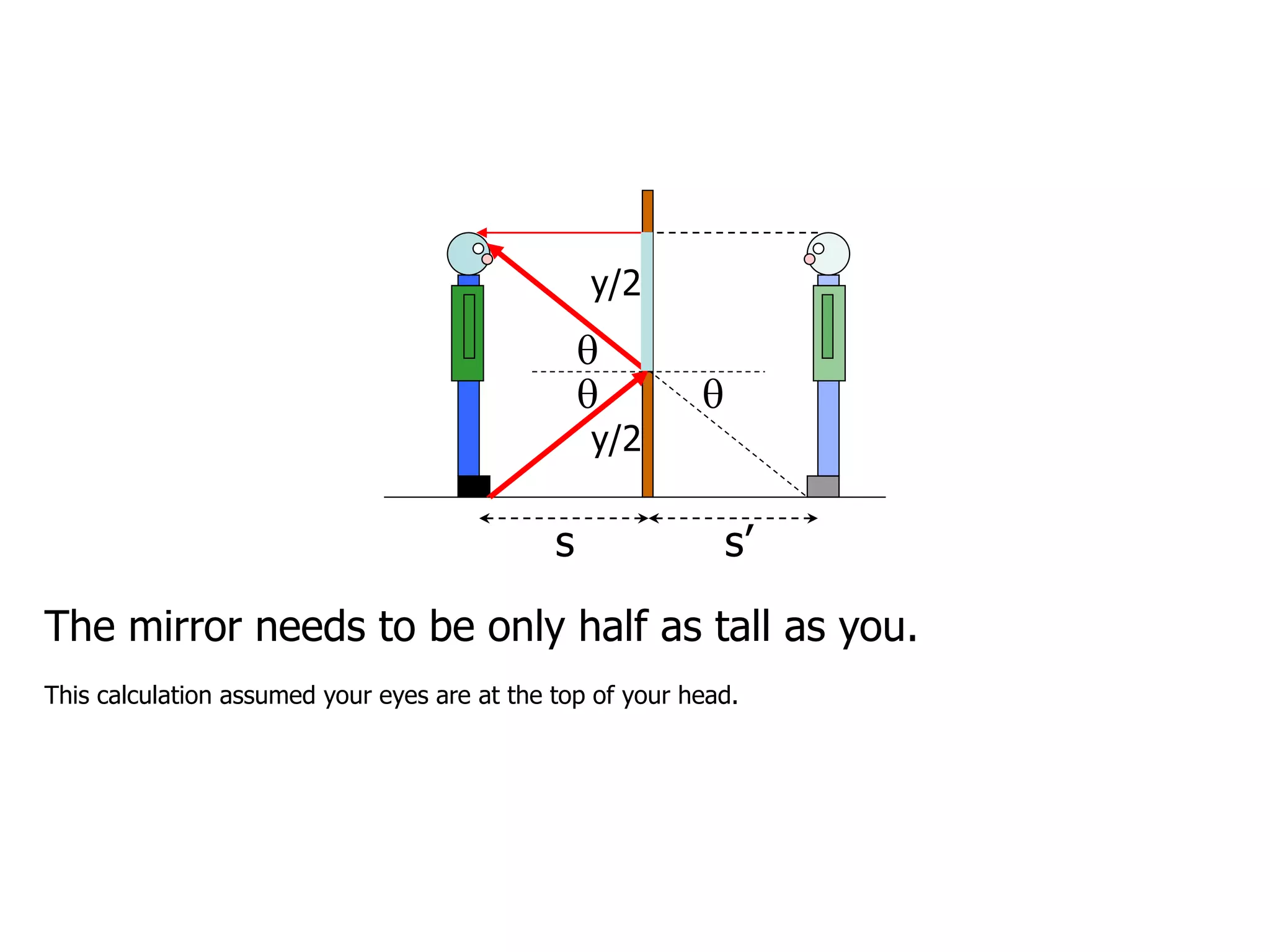 s s’
y/2


y/2

The mirror needs to be only half as tall as you.
This calculation assumed your eyes are at the top of your head.
 