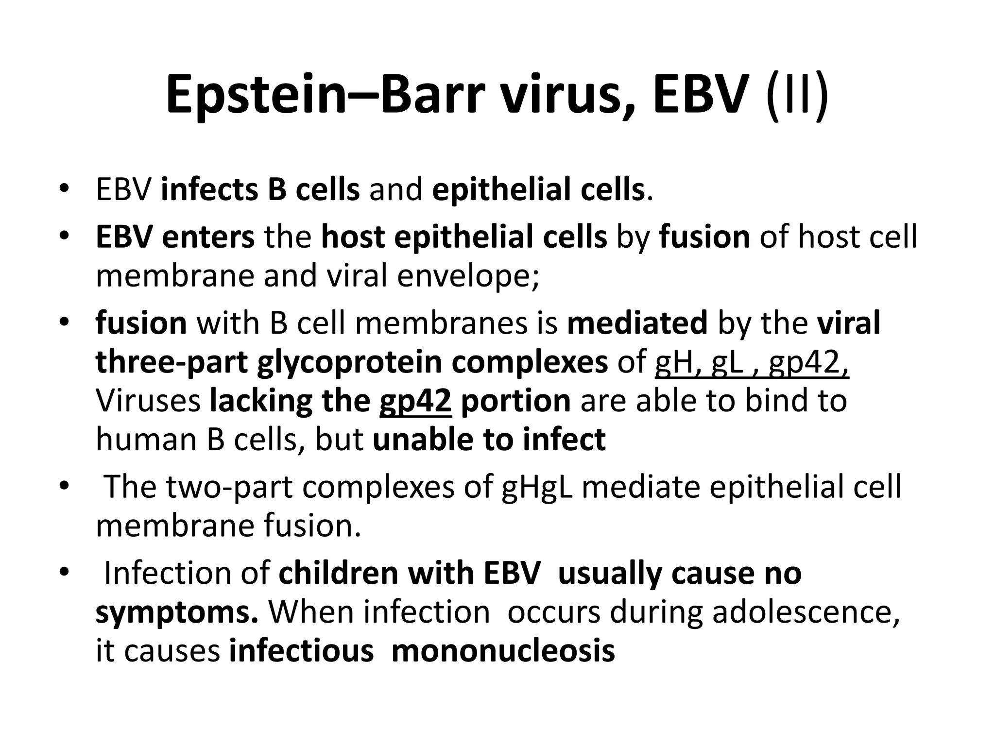 Epstein–Barr virus, EBV (II)
• EBV infects B cells and epithelial cells.
• EBV enters the host epithelial cells by fusion of host cell
membrane and viral envelope;
• fusion with B cell membranes is mediated by the viral
three-part glycoprotein complexes of gH, gL , gp42,
Viruses lacking the gp42 portion are able to bind to
human B cells, but unable to infect
• The two-part complexes of gHgL mediate epithelial cell
membrane fusion.
• Infection of children with EBV usually cause no
symptoms. When infection occurs during adolescence,
it causes infectious mononucleosis
 