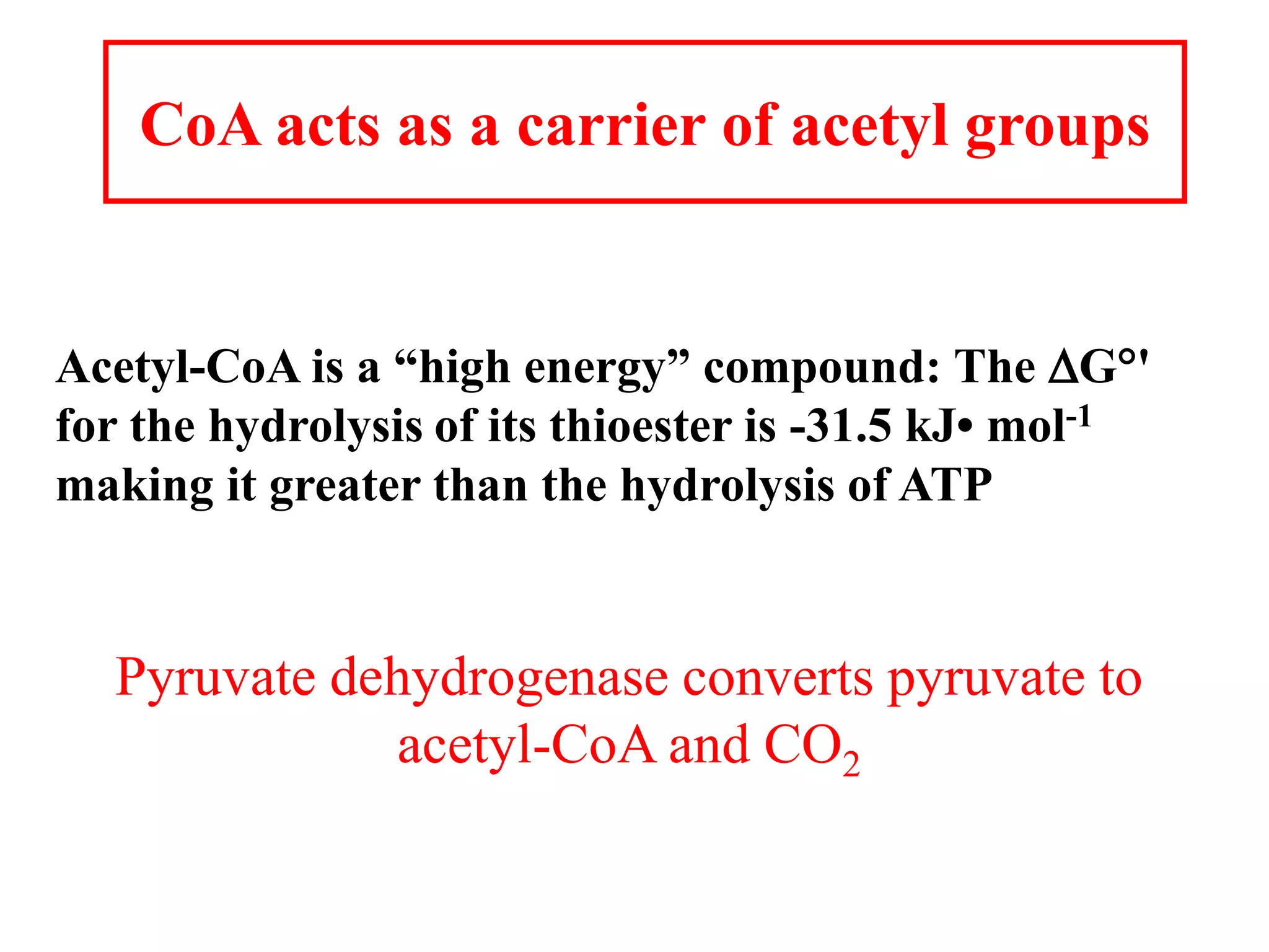 CoA acts as a carrier of acetyl groups
Acetyl-CoA is a “high energy” compound: The DG'
for the hydrolysis of its thioester is -31.5 kJ• mol-1
making it greater than the hydrolysis of ATP
Pyruvate dehydrogenase converts pyruvate to
acetyl-CoA and CO2
 