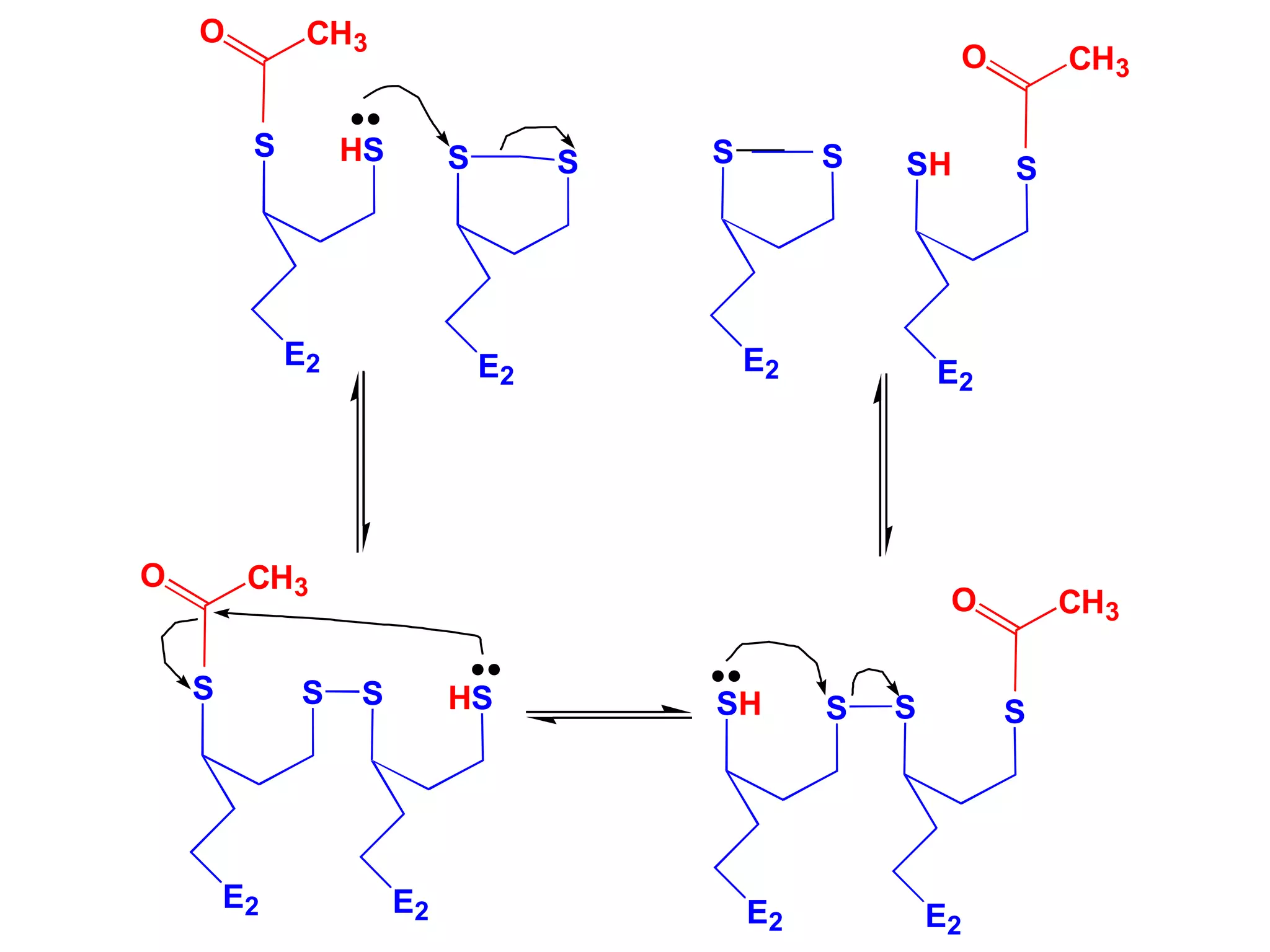 S
S
E2
HS
S
E2
S
SH
E2
S
S
E2
S
S
E2
S
SH
E2
HS
S
E2
S
S
E2
CH3
O
CH3
O
CH3
O
CH3
O
 