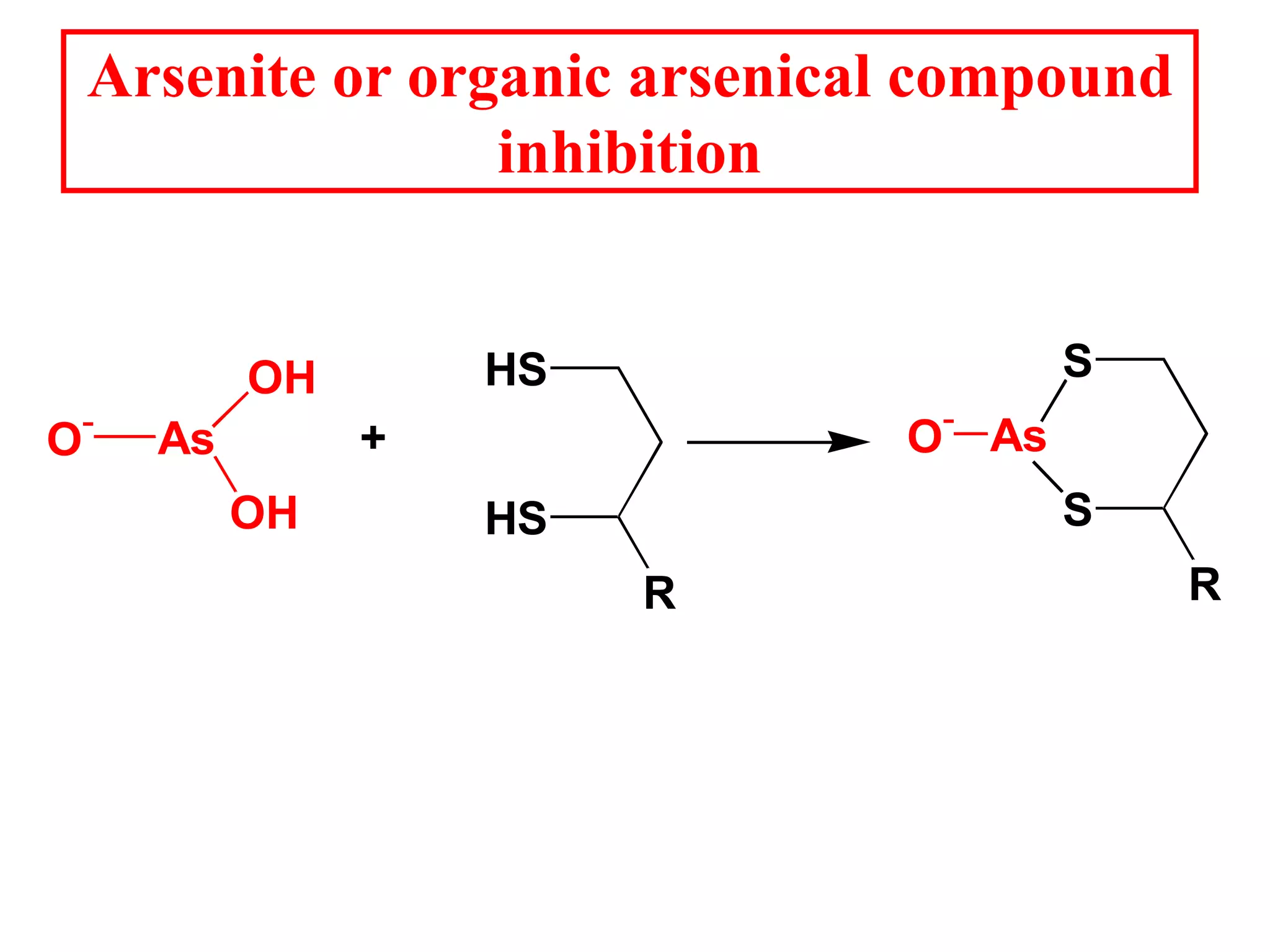Arsenite or organic arsenical compound
inhibition
HS
HS
R
O-
As
OH
OH
+
S
S
R
As
O-
 