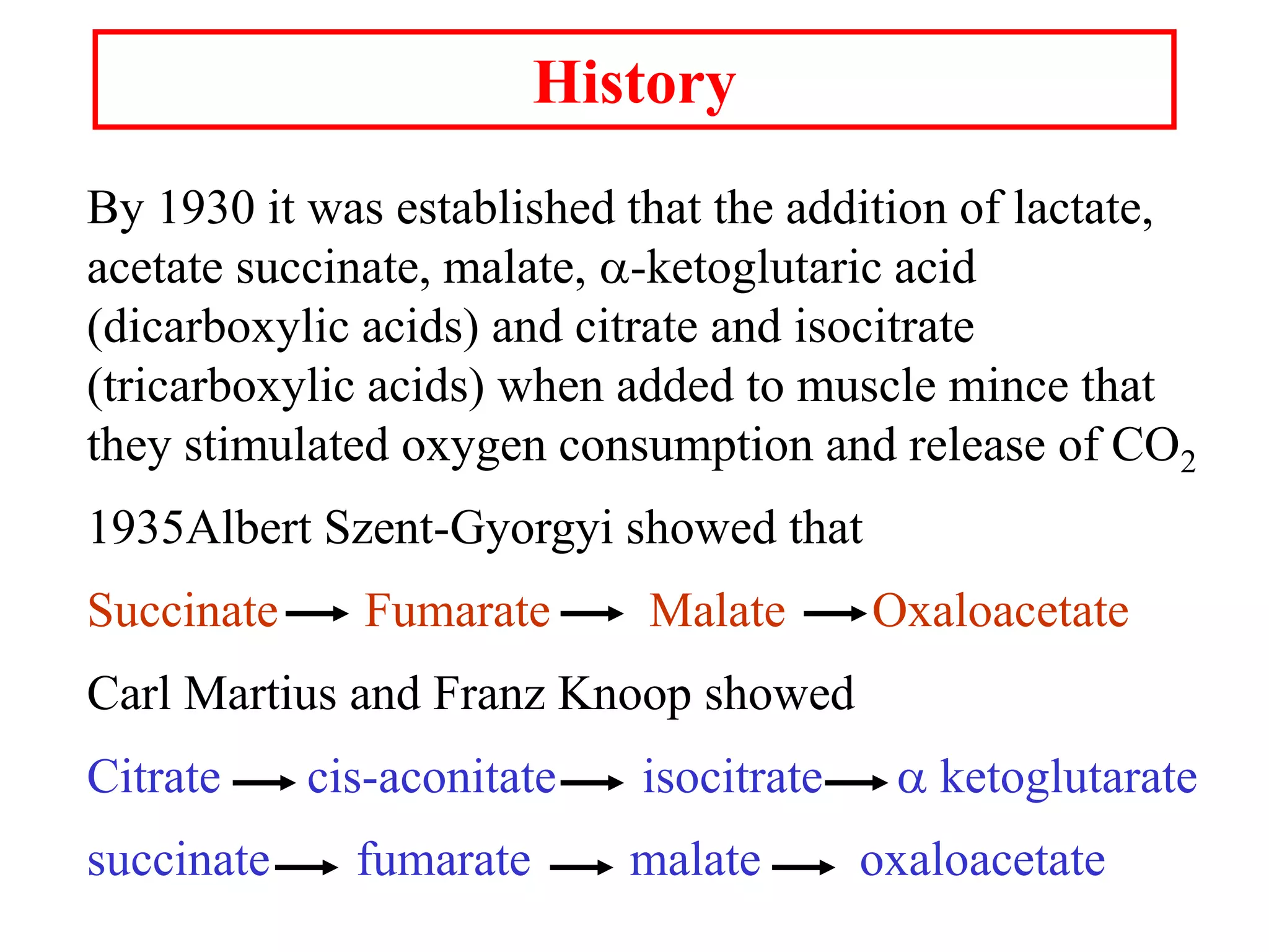 History
By 1930 it was established that the addition of lactate,
acetate succinate, malate, a-ketoglutaric acid
(dicarboxylic acids) and citrate and isocitrate
(tricarboxylic acids) when added to muscle mince that
they stimulated oxygen consumption and release of CO2
1935Albert Szent-Gyorgyi showed that
Succinate Fumarate Malate Oxaloacetate
Carl Martius and Franz Knoop showed
Citrate cis-aconitate isocitrate a ketoglutarate
succinate fumarate malate oxaloacetate
 