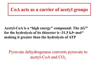 CoA acts as a carrier of acetyl groups
Acetyl-CoA is a “high energy” compound: The DG'
for the hydrolysis of its thioester is -31.5 kJ• mol-1
making it greater than the hydrolysis of ATP
Pyruvate dehydrogenase converts pyruvate to
acetyl-CoA and CO2
 