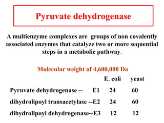 Pyruvate dehydrogenase
A multienzyme complexes are groups of non covalently
associated enzymes that catalyze two or more sequential
steps in a metabolic pathway.
E. coli yeast
Pyruvate dehydrogenase -- E1 24 60
dihydrolipoyl transacetylase --E2 24 60
dihydrolipoyl dehydrogenase--E3 12 12
Molecular weight of 4,600,000 Da
 