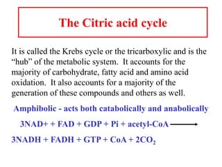 The Citric acid cycle
It is called the Krebs cycle or the tricarboxylic and is the
“hub” of the metabolic system. It accounts for the
majority of carbohydrate, fatty acid and amino acid
oxidation. It also accounts for a majority of the
generation of these compounds and others as well.
Amphibolic - acts both catabolically and anabolically
3NAD+ + FAD + GDP + Pi + acetyl-CoA
3NADH + FADH + GTP + CoA + 2CO2
 