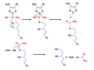 N
C
S
H3C R1
S
S
E2
C CH3
HO
N
C
S
H3C R1
S
HS
E2
C CH3
HO
S
HS
E2
+
CH3
O
N
C
S
H3C R1
HS
HS
E2
S
HS
E2
+
CH3
O
CoA SH
CoA S
Ch3
O
+
+
 