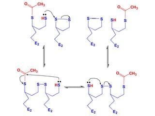 S
S
E2
HS
S
E2
S
SH
E2
S
S
E2
S
S
E2
S
SH
E2
HS
S
E2
S
S
E2
CH3
O
CH3
O
CH3
O
CH3
O
 