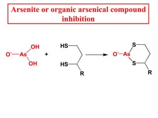 Arsenite or organic arsenical compound
inhibition
HS
HS
R
O-
As
OH
OH
+
S
S
R
As
O-
 