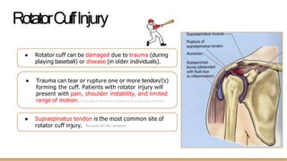 Shoulder Damage Lecture 23_ Anatomy of the shoulder.pptx