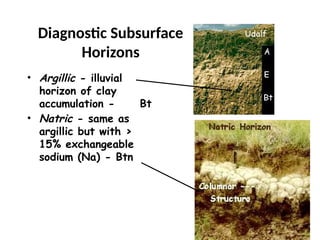 Argillic Box Lecture 23 and 24 Soil Taxonoasgsgdagdsgay.pptx