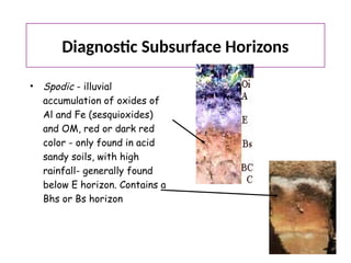 Lecture 23 and 24 Soil Taxonoasgsgdagdsgay.pptx