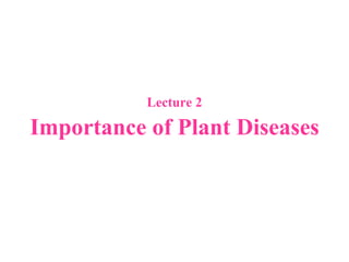 Lecture 2
Importance of Plant Diseases
 