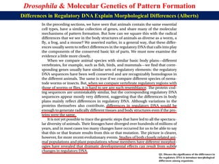Lecture 23 BBT317 Molecular Genetics of Pattern Formation in Drosophila ...
