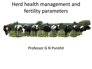 Herd health management and
fertility parameters
Professor G N Purohit
 