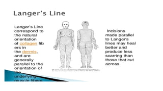 LECTURE 23 May 2023 SURGICAL APPROACH, INCISIONS.pptx