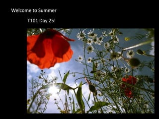 Welcome to Summer  T101 Day 25! 