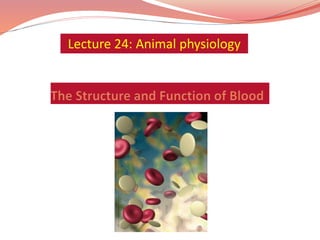 Lecture 24: Animal physiology
 