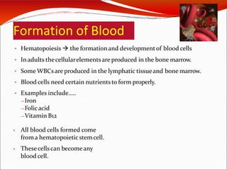 Formation of Blood
• Hematopoiesis  the formationand developmentof blood cells
• In adults thecellularelementsare produced in the bone marrow.
• Some WBCs are produced in the lymphatic tissueand bone marrow.
• Blood cells need certain nutrients to form properly.
• Examples include…..
—Iron
—Folicacid
—Vitamin B12
• All blood cells formed come
froma hematopoieticstemcell.
• Thesecells can becomeany
blood cell.
 